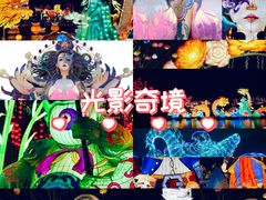 -淄博花灯齐彩城