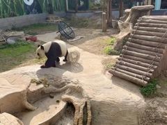 -南昌动物园