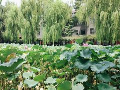 -四川大学(望江校区)