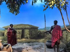 -国家自然博物馆