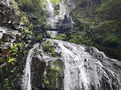 -藏龙百瀑风景区