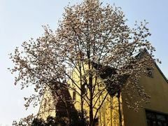 -颐和路民国时期公馆风貌区