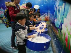 -中国宋庆龄青少年科技文化交流中心