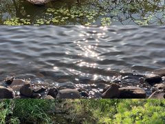 -西昌邛海湿地