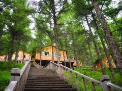 -苏木山森林公园