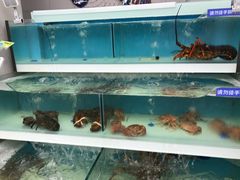 -盒马鲜生(大成店)