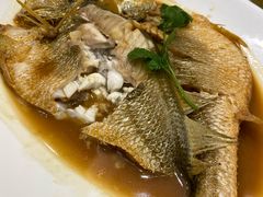 家炖黄花鱼-双井轩(双井店)