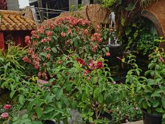 -园林美食城·本土农家菜(杨和镇店)