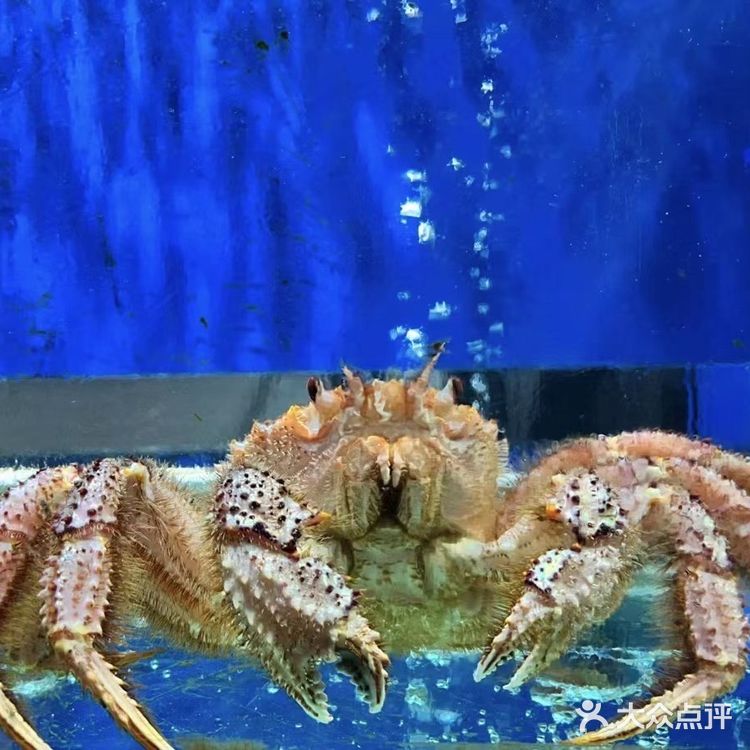 体验贵族式的饮食格调✨ | 鱼耀海鲜肥牛火锅
