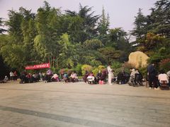 -西苑公园