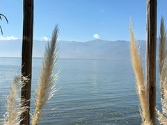 -六阅·福十 FORTEN 海景咖啡西餐厅(双廊古镇店)