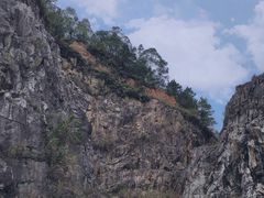-红山村
