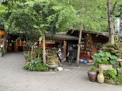 -青城甲(青城山店)