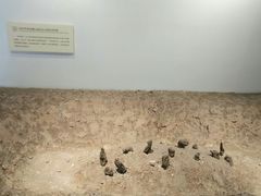 -宁波茶文化博物院