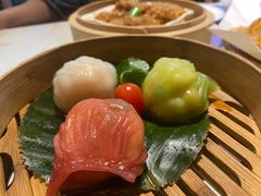-点都德·毕德寮