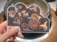 -芸山季·云南山珍菌火锅(人民广场来福士店)