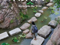 -桑干河大峡谷旅游区