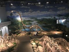 -自贡恐龙博物馆