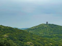 -宝界山林公园