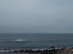 -广东惠东海龟国家级自然保护区