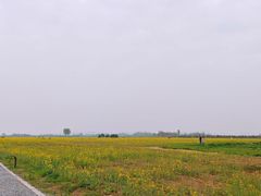 -汉长安城未央宫国家考古遗址公园