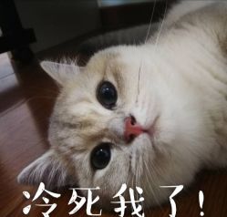 -Alger.O美感沙龙