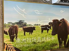 -CHILL Pho澳洲牛肉越南粉(佛山顺德万象汇店)