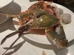 -加餐海鲜自助(宝龙一城店)