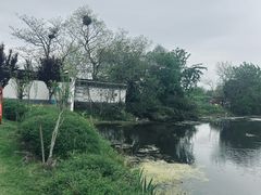 -梁鸿国家湿地公园