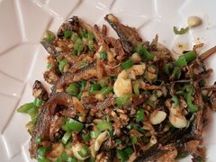 -凤凰湘语·湘粤鲜融(浦东旗舰店)