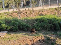 -辛玛王国游乐园