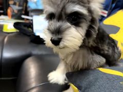 -它主义宠物(梁溪万达店)