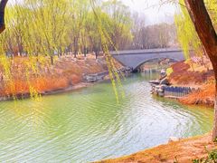 -大兴滨河森林公园