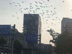 -在海一方公园
