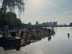 -天鹅湖体育公园