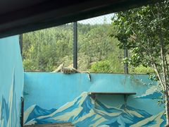 -青藏高原野生动物园