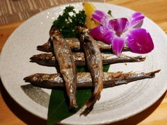 多春鱼-酒井酱子·深夜食堂(东城汇店)