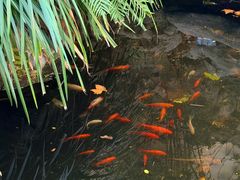 -莹珠阁·私房菜