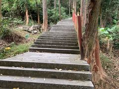 -火炉山森林公园