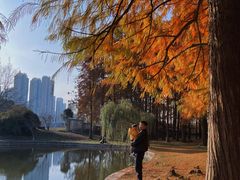 -汉水公园