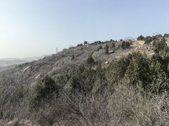 -白水寺森林公园