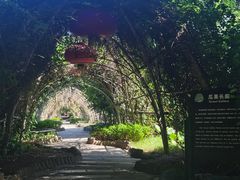 -海上田园