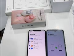 -荣耀授权专卖店(黄浦浙江中路店)