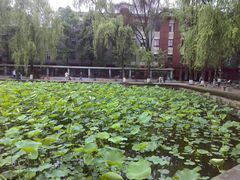 -四川大学(望江校区)