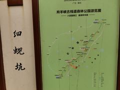-羚羊峡古栈道森林公园