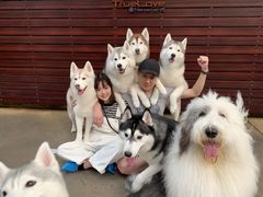-TrueLove @ Neverland (Husky Cafe)