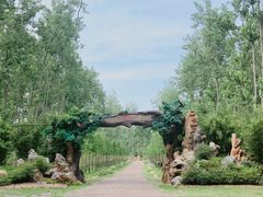 -合肥滨湖国家森林公园