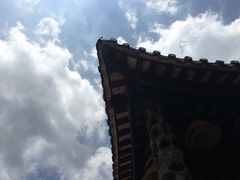 -悦城龙母祖庙