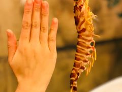 -鲜入围煮花胶鸡海鲜火锅