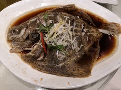 清蒸多宝鱼-双井轩(双井店)